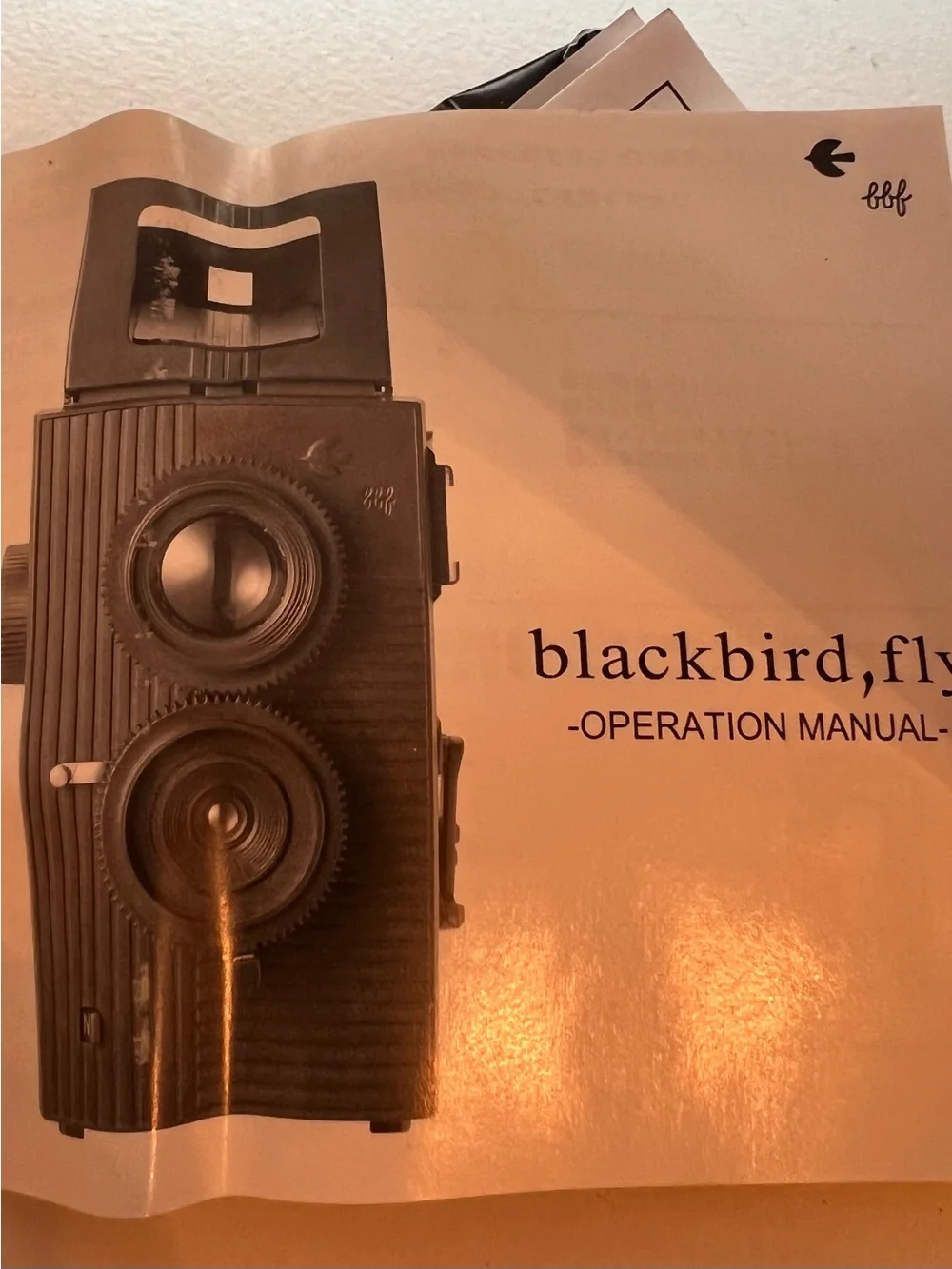 Red Twin-Lens Camera Blackbird, fly